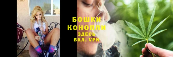 амф Ступино