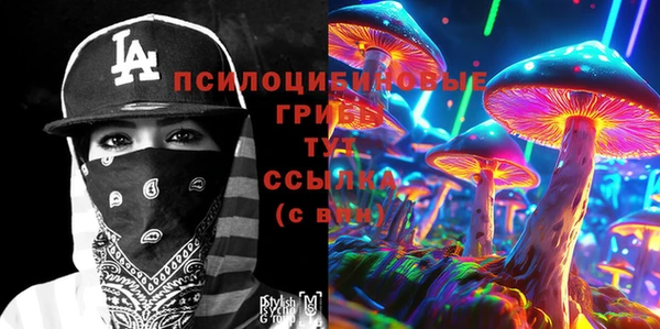амф Ступино