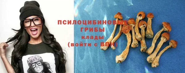 амф Ступино