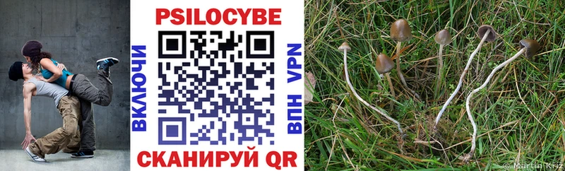 купить   Богородицк  Галлюциногенные грибы ЛСД 