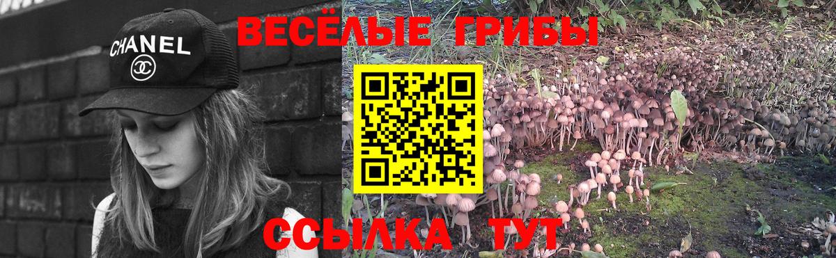 Псилоцибиновые грибы ЛСД  Вход с VPN  Богородицк  Галлюциногенные грибы GOLDEN TEACHER 