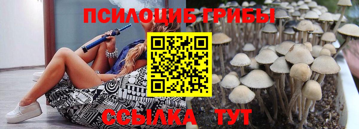 Галлюциногенные грибы MAGIC MUSHROOMS Богородицк
